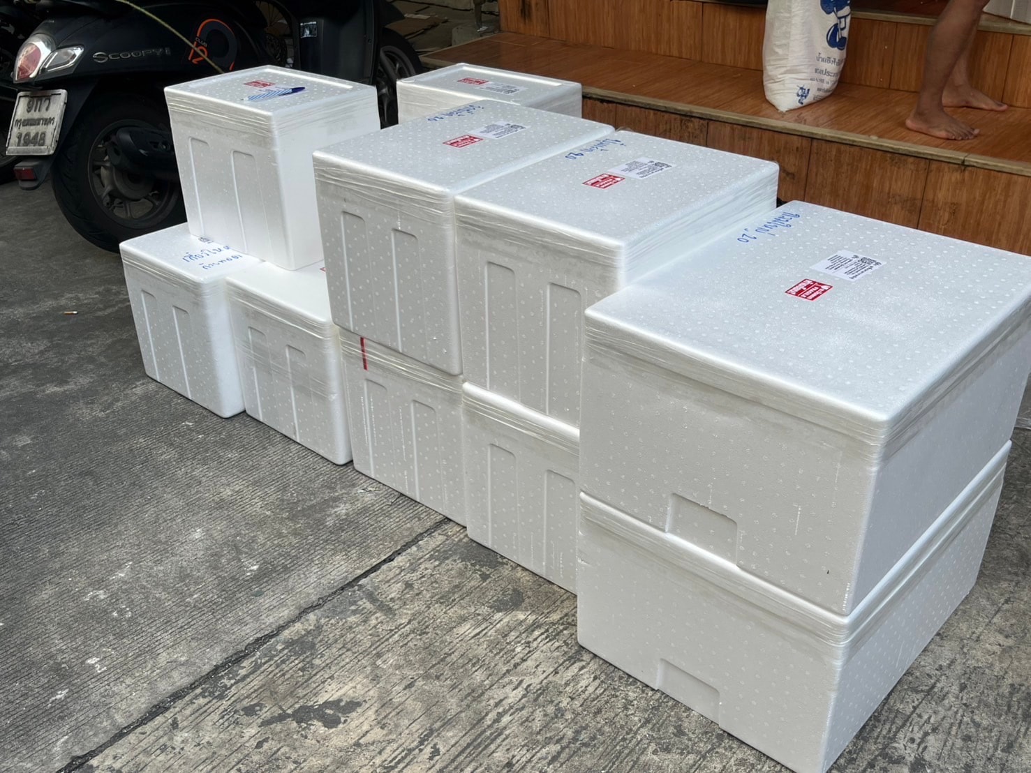 กล่องโฟมบรรจุลูกชิ้นปลาพร้อมจัดส่ง
